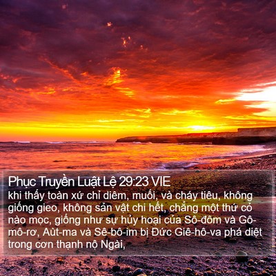 Phục Truyền Luật Lệ 29:23 VIE Bible Verse Image