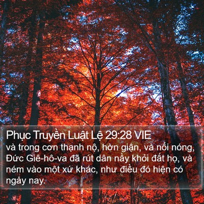 Phục Truyền Luật Lệ 29:28 VIE Bible Verse Image