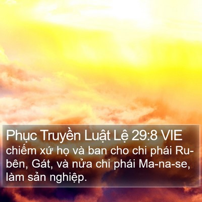 Phục Truyền Luật Lệ 29:8 VIE Bible Verse Image