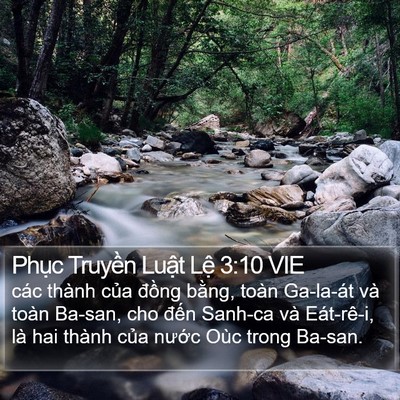 Phục Truyền Luật Lệ 3:10 VIE Bible Verse Image