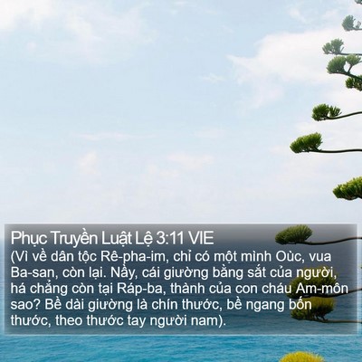 Phục Truyền Luật Lệ 3:11 VIE Bible Verse Image