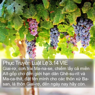Phục Truyền Luật Lệ 3:14 VIE Bible Verse Image