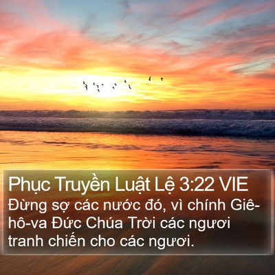 Phục Truyền Luật Lệ 3:22 VIE Bible Verse Image