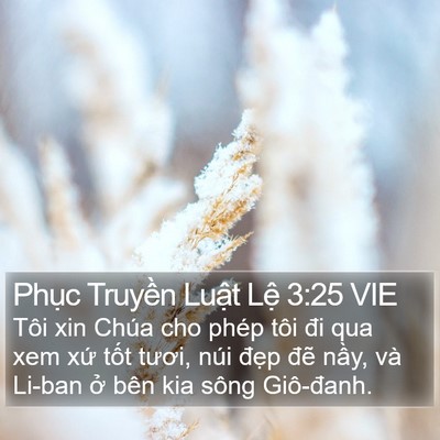 Phục Truyền Luật Lệ 3:25 VIE Bible Verse Image