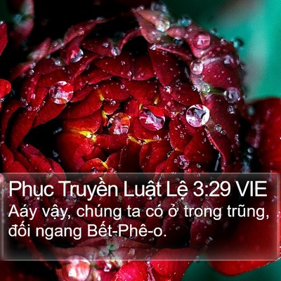Phục Truyền Luật Lệ 3:29 VIE Bible Verse Image