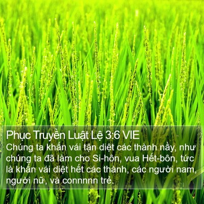 Phục Truyền Luật Lệ 3:6 VIE Bible Verse Image