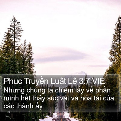 Phục Truyền Luật Lệ 3:7 VIE Bible Verse Image