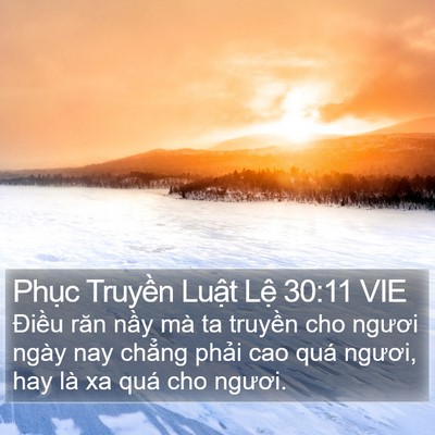 Phục Truyền Luật Lệ 30:11 VIE Bible Verse Image