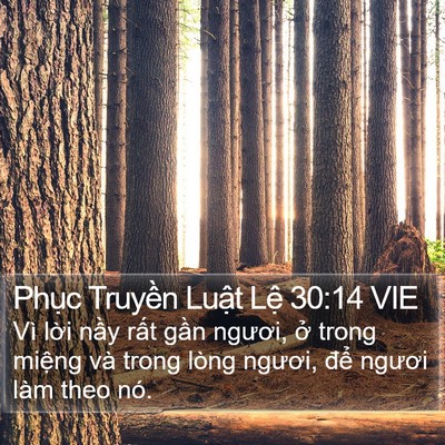 Phục Truyền Luật Lệ 30:14 VIE Bible Verse Image