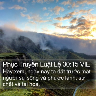 Phục Truyền Luật Lệ 30:15 VIE Bible Verse Image