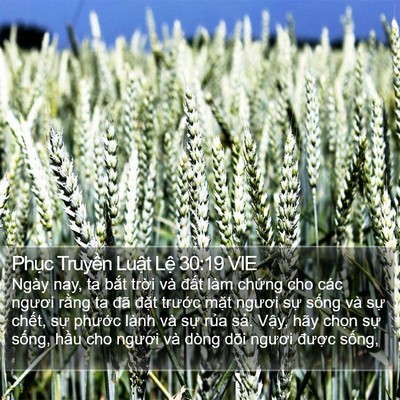 Phục Truyền Luật Lệ 30:19 VIE Bible Verse Image
