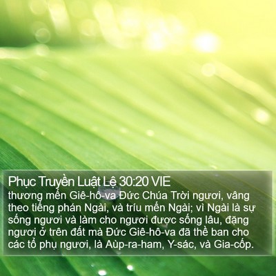 Phục Truyền Luật Lệ 30:20 VIE Bible Verse Image