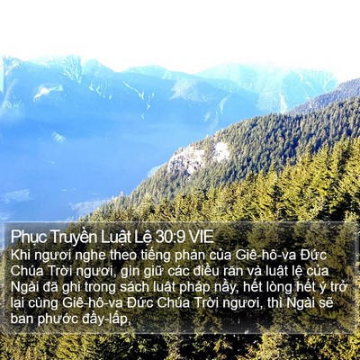 Phục Truyền Luật Lệ 30:9 VIE Bible Verse Image