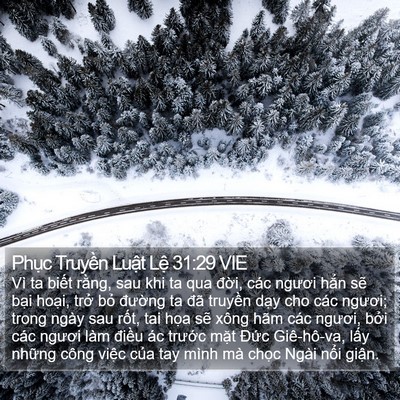 Phục Truyền Luật Lệ 31:29 VIE Bible Verse Image