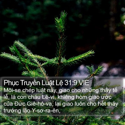 Phục Truyền Luật Lệ 31:9 VIE Bible Verse Image