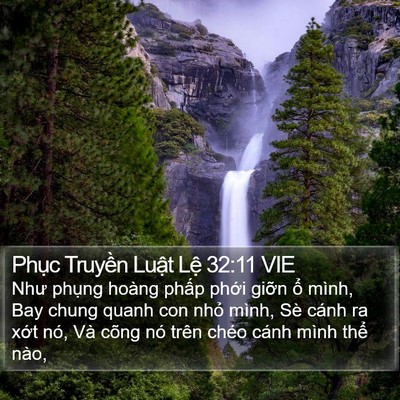 Phục Truyền Luật Lệ 32:11 VIE Bible Verse Image