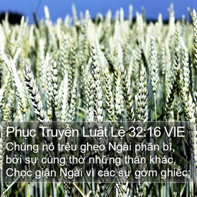 Phục Truyền Luật Lệ 32:16 VIE Bible Verse Image