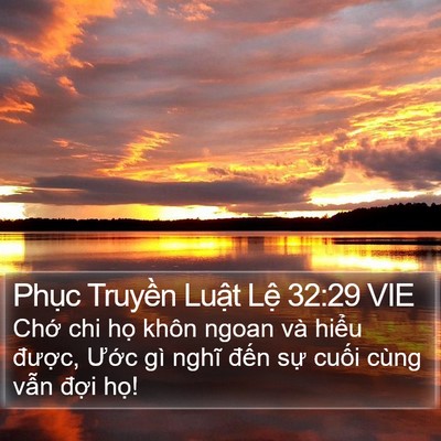 Phục Truyền Luật Lệ 32:29 VIE Bible Verse Image