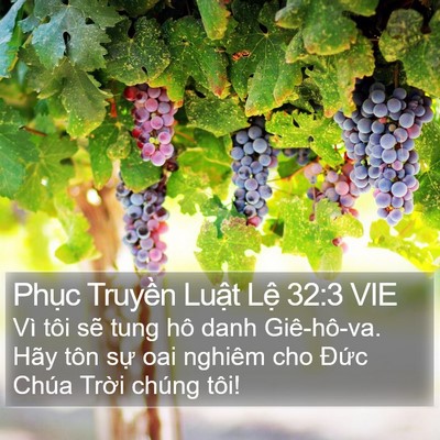 Phục Truyền Luật Lệ 32:3 VIE Bible Verse Image