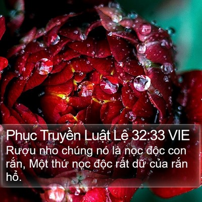 Phục Truyền Luật Lệ 32:33 VIE Bible Verse Image