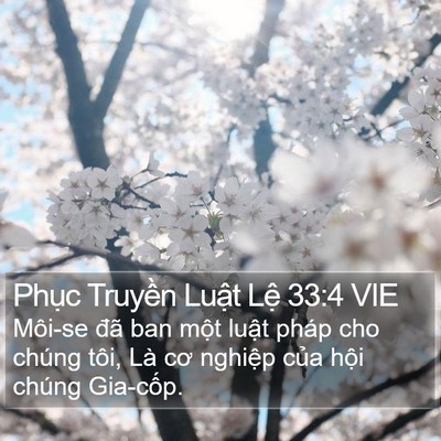 Phục Truyền Luật Lệ 33:4 VIE Bible Verse Image