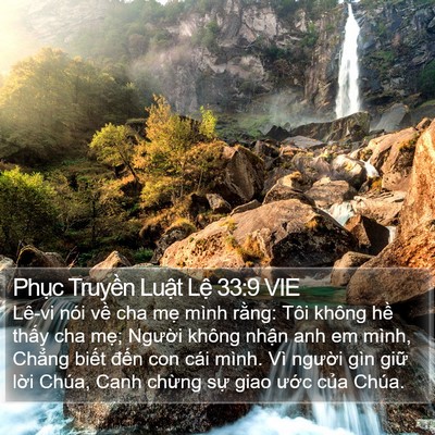 Phục Truyền Luật Lệ 33:9 VIE Bible Verse Image