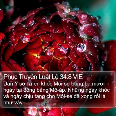 Phục Truyền Luật Lệ 34:8 VIE Bible Verse Image