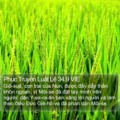 Phục Truyền Luật Lệ 34:9 VIE Bible Verse Image
