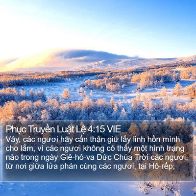 Phục Truyền Luật Lệ 4:15 VIE Bible Verse Image