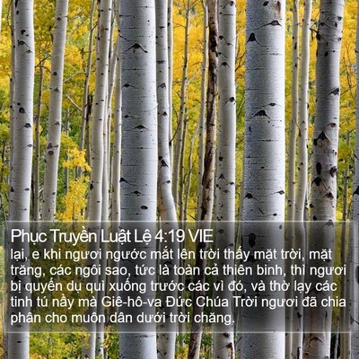 Phục Truyền Luật Lệ 4:19 VIE Bible Verse Image