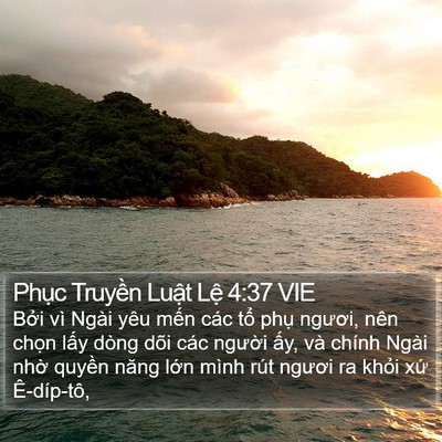 Phục Truyền Luật Lệ 4:37 VIE Bible Verse Image