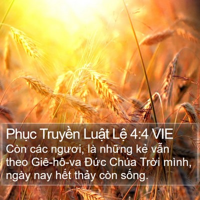Phục Truyền Luật Lệ 4:4 VIE Bible Verse Image
