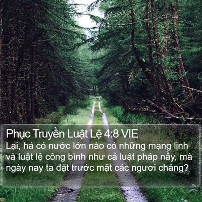 Phục Truyền Luật Lệ 4:8 VIE Bible Verse Image