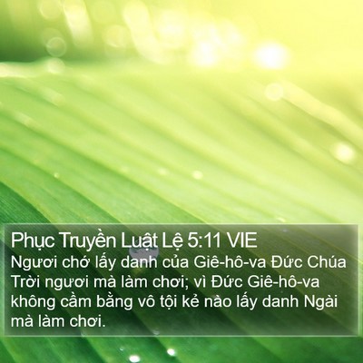 Phục Truyền Luật Lệ 5:11 VIE Bible Verse Image