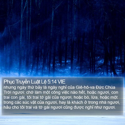 Phục Truyền Luật Lệ 5:14 VIE Bible Verse Image