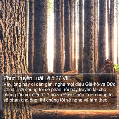 Phục Truyền Luật Lệ 5:27 VIE Bible Verse Image