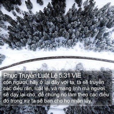 Phục Truyền Luật Lệ 5:31 VIE Bible Verse Image