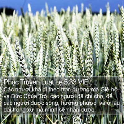 Phục Truyền Luật Lệ 5:33 VIE Bible Verse Image