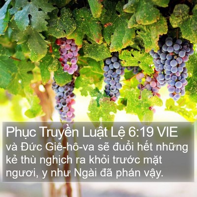 Phục Truyền Luật Lệ 6:19 VIE Bible Verse Image