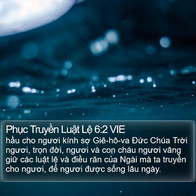 Phục Truyền Luật Lệ 6:2 VIE Bible Verse Image