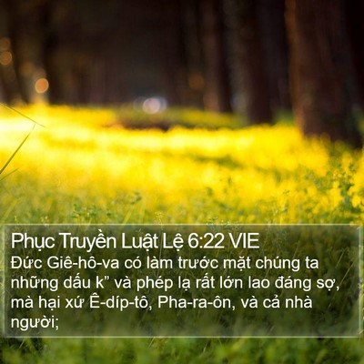 Phục Truyền Luật Lệ 6:22 VIE Bible Verse Image