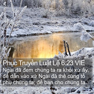Phục Truyền Luật Lệ 6:23 VIE Bible Verse Image