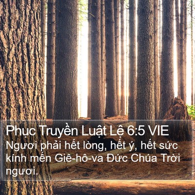 Phục Truyền Luật Lệ 6:5 VIE Bible Verse Image