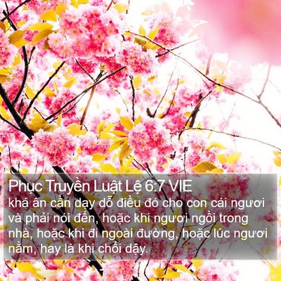 Phục Truyền Luật Lệ 6:7 VIE Bible Verse Image