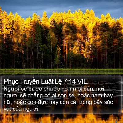 Phục Truyền Luật Lệ 7:14 VIE Bible Verse Image