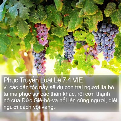 Phục Truyền Luật Lệ 7:4 VIE Bible Verse Image