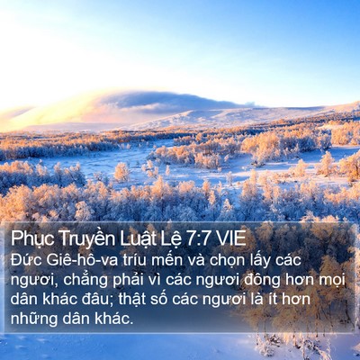 Phục Truyền Luật Lệ 7:7 VIE Bible Verse Image