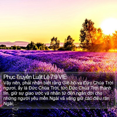 Phục Truyền Luật Lệ 7:9 VIE Bible Verse Image
