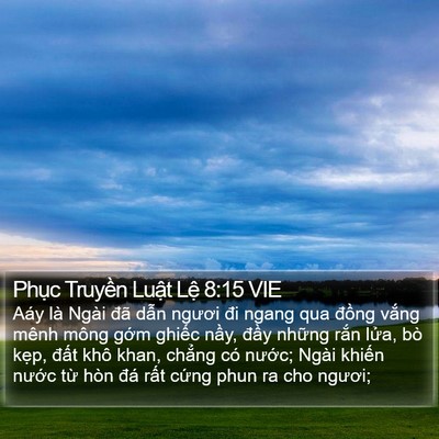 Phục Truyền Luật Lệ 8:15 VIE Bible Verse Image