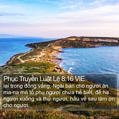 Phục Truyền Luật Lệ 8:16 VIE Bible Verse Image